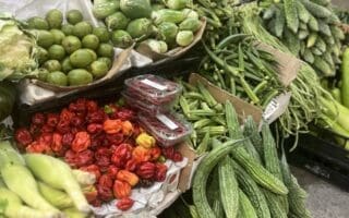how travel influences my cooking at home fresh market produce