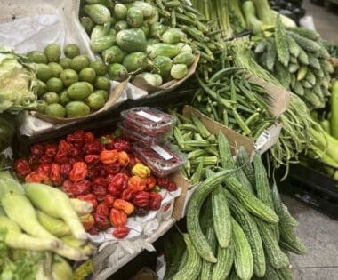 how travel influences my cooking at home fresh market produce
