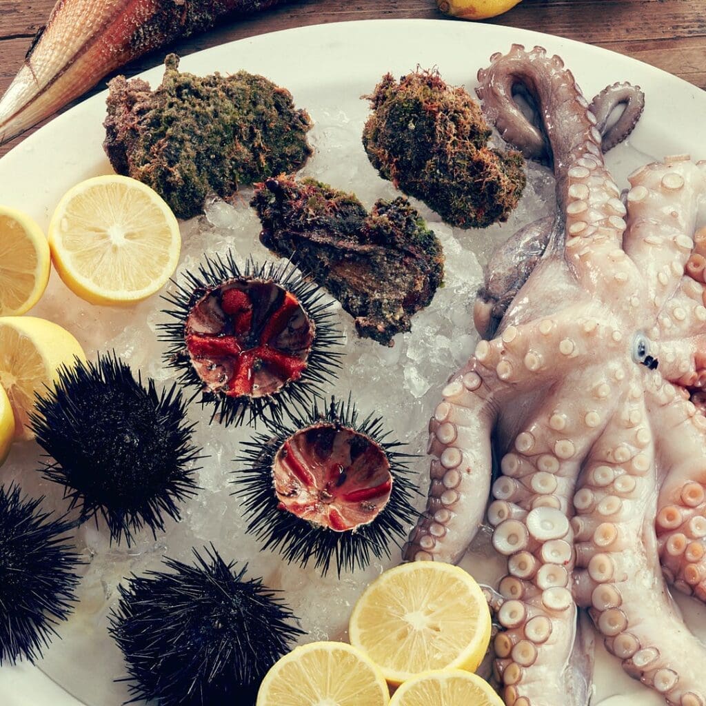Seafood dishes with citrus and bold sauces, examples of how travel influences cooking through unexpected flavour pairings.