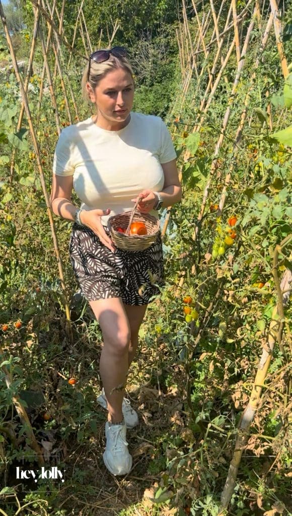 Guest harvesting ripe tomatoes in the garden during a cooking class in Syracuse Sicily.