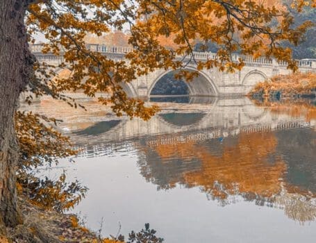clumber-park-nottingham-ornamental-bridge