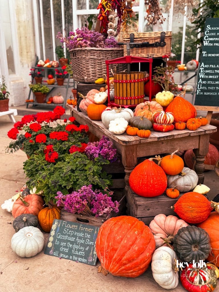 Inside the glasshouse at Clumber Park walled kitchen garden, pumpkins and chillies drying in warm autumn light.