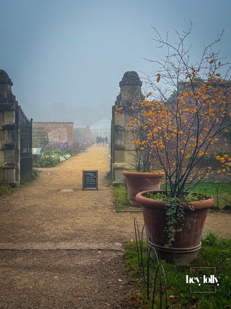 Foggy path leading away from Clumber Park’s walled kitchen garden, mist blurring the garden gate.