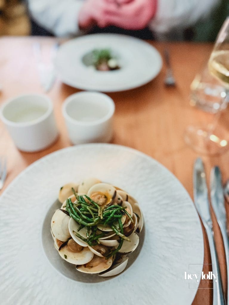 Spiced harissa clams with white wine reduction and samphire at Skein Nottingham