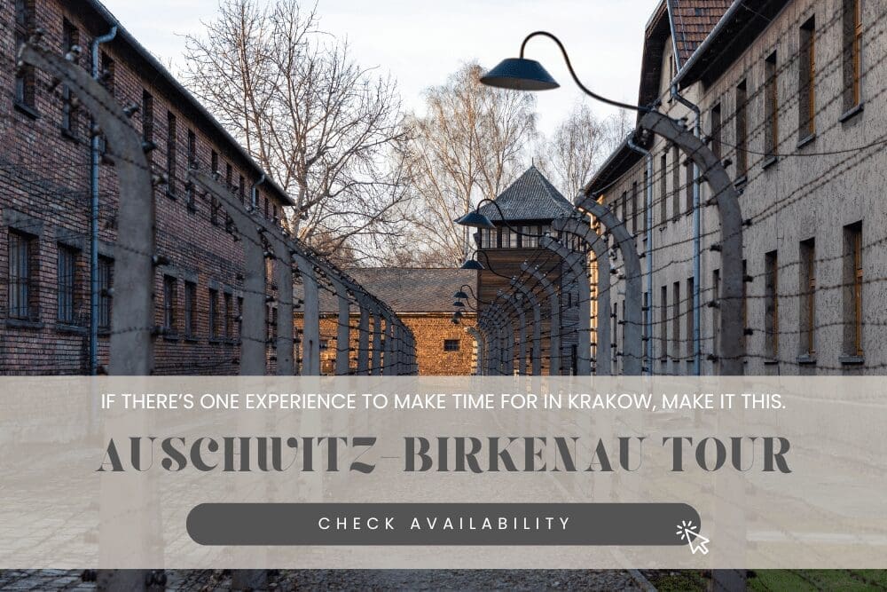 Auschwitz Birkenau tour from Krakow, one of the best Krakow tours to book