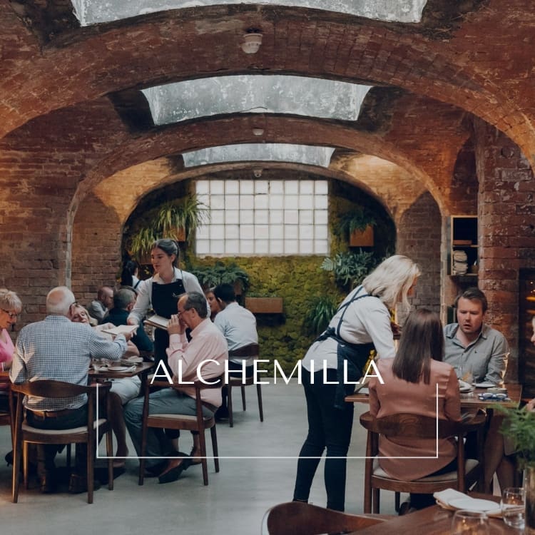 Michelin star fine dining dishes at Alchemilla Nottingham